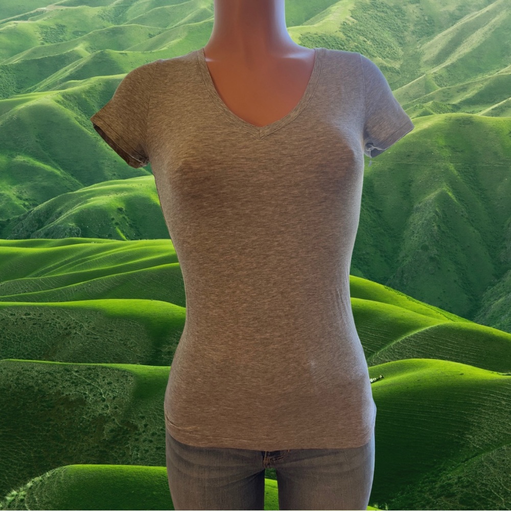Grey Slim Fitting V-Neck Gap Body T-Shirt🐭